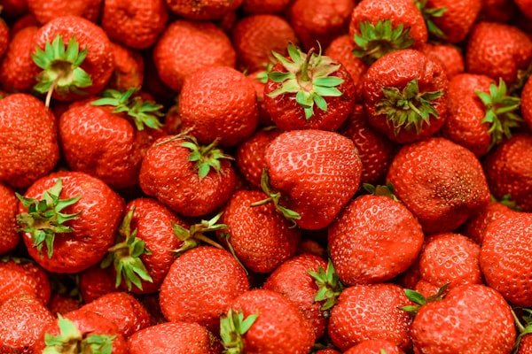 Frutillas de Coronda